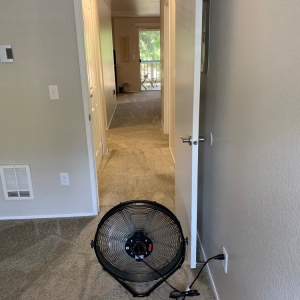 Vancouver Candido's Carpet Cleaning
