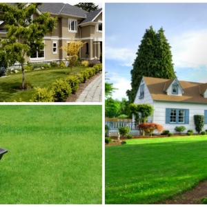 Kent JG Landscaping
