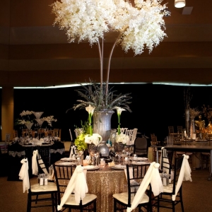 Photo of Bill Hamilton Designs