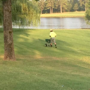 Photo of Mow-N-Grow Lawn Service & Landscaping