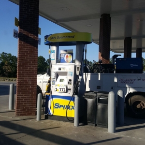 Photo of Spinx