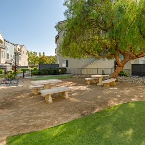Photo of The Esplanade Apartments