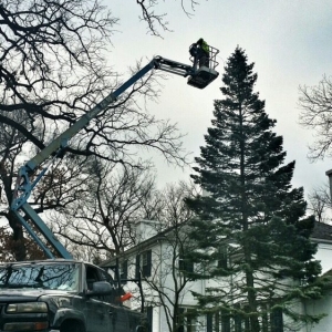 Photo of C&E Outdoor Services