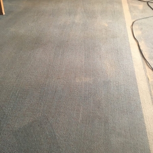 Photo of Green Planet Carpet Cleaning