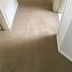 Photo of Green Planet Carpet Cleaning