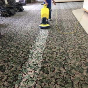 Photo of Williams Pro-Clean