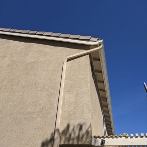 Photo of American Raingutter