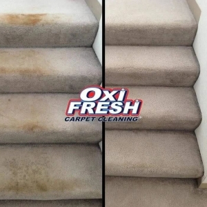Photo of Oxi Fresh Carpet Cleaning