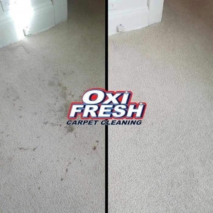 Photo of Oxi Fresh Carpet Cleaning
