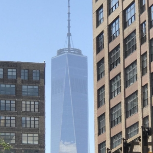 Photo of WGD