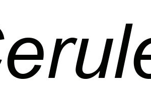 Photo of Ceruleaus