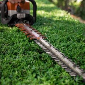 Photo of Lucia Landscaping