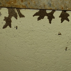 Photo of CA Luce Termite Control