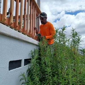 Photo of Collins Builders & Construction