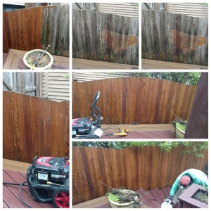 Photo of Giddens Pressure Washing and Lawn Care