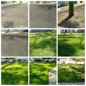 Photo of Giddens Pressure Washing and Lawn Care