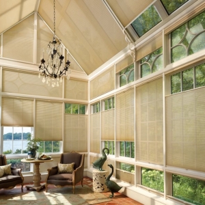 Photo of All About Blinds