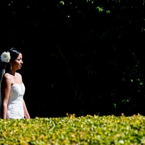 Photo of Tiffany Francies Wedding and Event Planner
