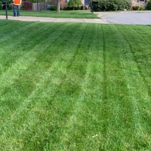 Photo of ForeverGreen Lawn Care