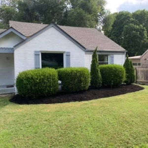 Photo of ForeverGreen Lawn Care