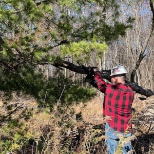 Photo of Shepherd Restoration and Repair