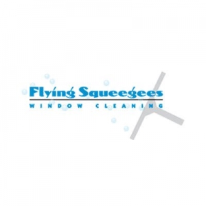 Photo of Flying Squeegees