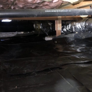 Photo of Northwest Crawl Space Services