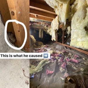 Photo of Northwest Crawl Space Services