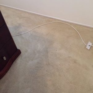 Photo of FCC Carpet Steam Cleaning