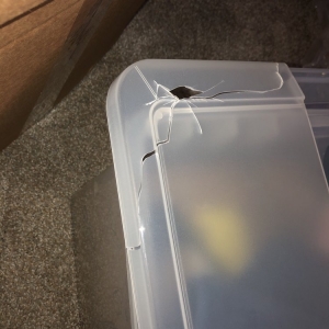 Photo of 2 Fellas Moving Company