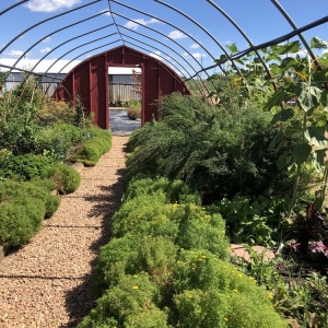 Photo of Heidi's GrowHaus & Lifestyle Gardens