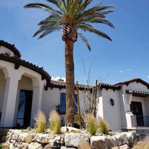 Photo of First Choice Tree Service