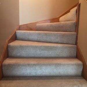 Photo of Oxi Fresh Carpet Cleaning