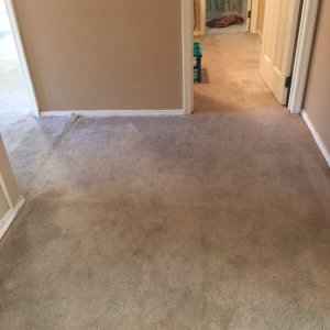 Photo of Oxi Fresh Carpet Cleaning