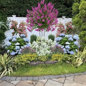 Photo of Garden Scapes
