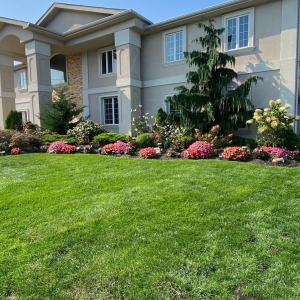 Photo of Garden Scapes