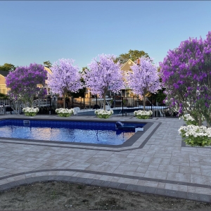Photo of Garden Scapes