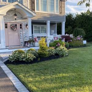 Photo of Garden Scapes