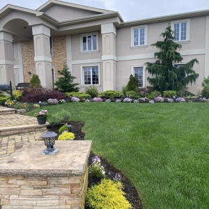Photo of Garden Scapes