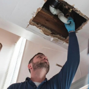 Photo of Thee Plumber