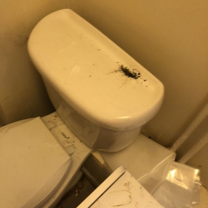 Photo of A Lust 2 Bust Dust