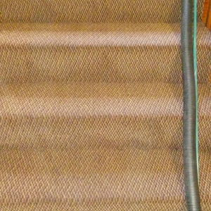 Photo of All Star Carpet Care