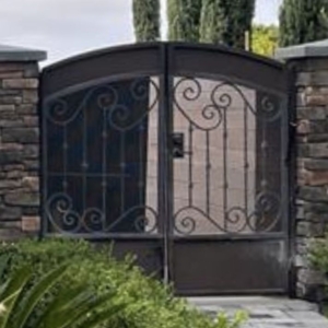 Photo of San Diego Iron Gates