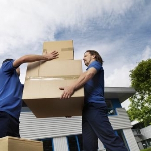 Photo of Mothers Moving