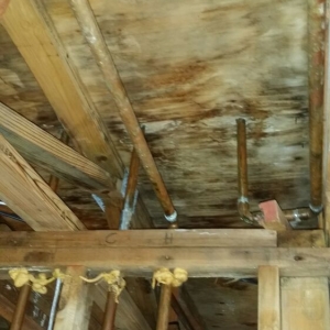Photo of DLW Demolition and Sanitizing