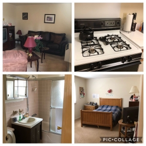 Photo of Green and Squeaky Clean, LLC