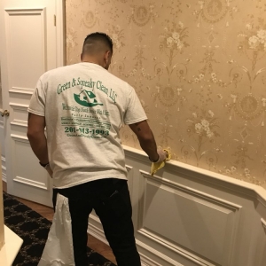 Photo of Green and Squeaky Clean, LLC