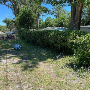Photo of El Cubanito's Lawn And Landscaping Services