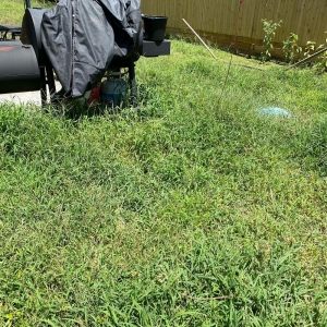 Photo of El Cubanito's Lawn And Landscaping Services