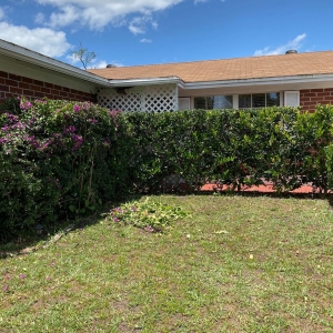 Photo of El Cubanito's Lawn And Landscaping Services